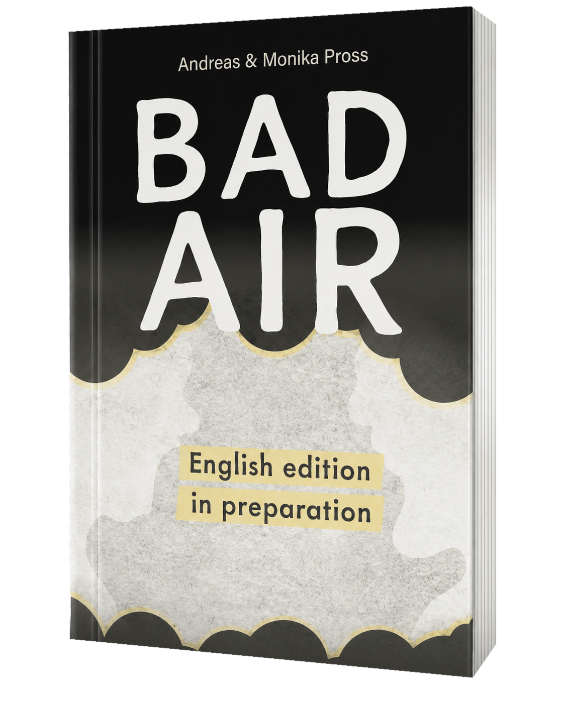BAD AIR book cover